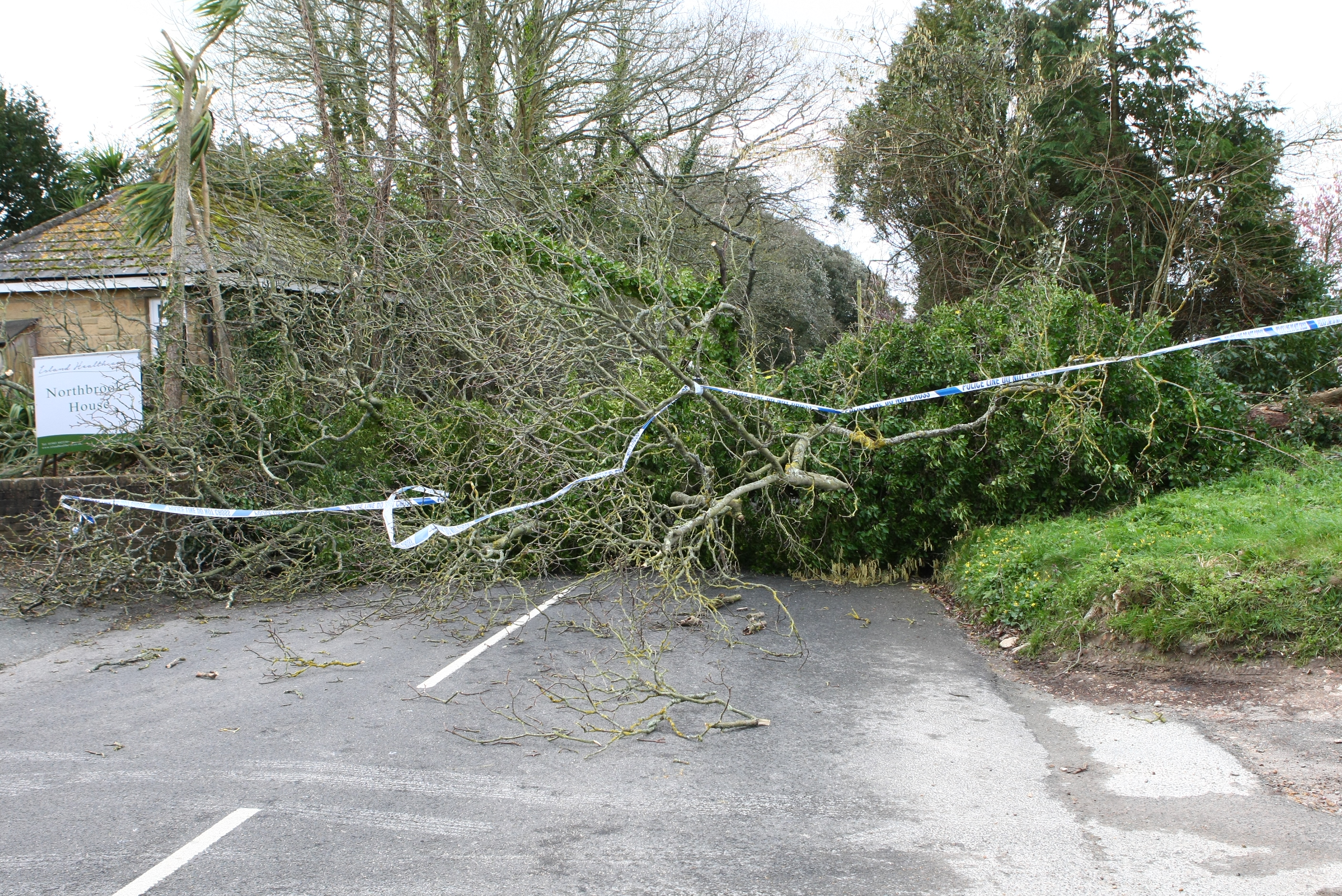 TREES DOWN AND CROSS-SOLENT TRAVEL DISRUPTED AS GUSTY WINDS HIT