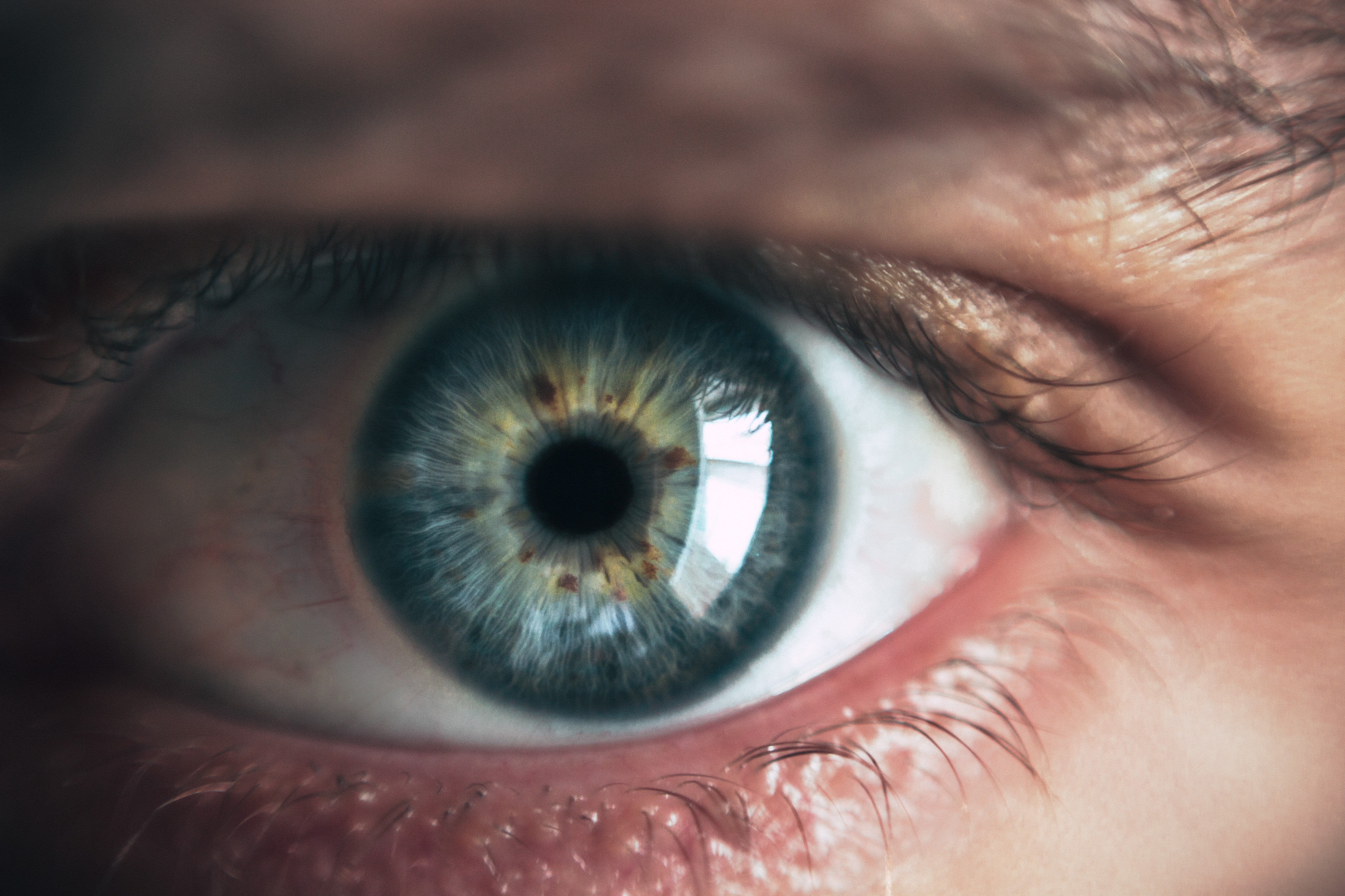 RNIB TO HOST SIGHT LOSS AWARENESS DAY THIS WEEKEND