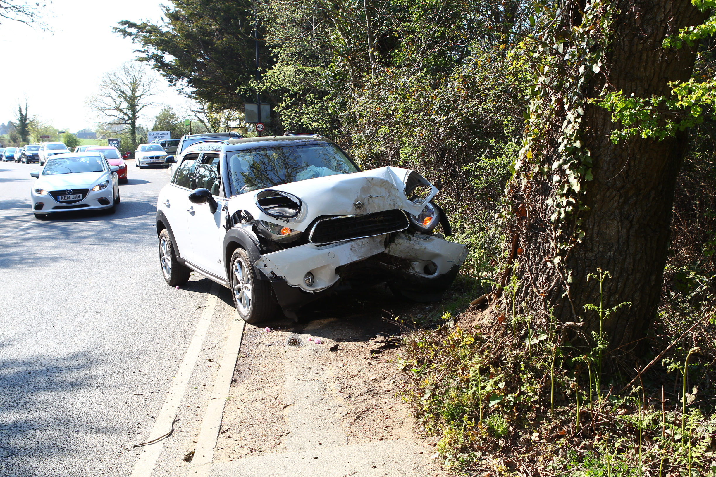 CAR CRASHES INTO TREE AT LAKE