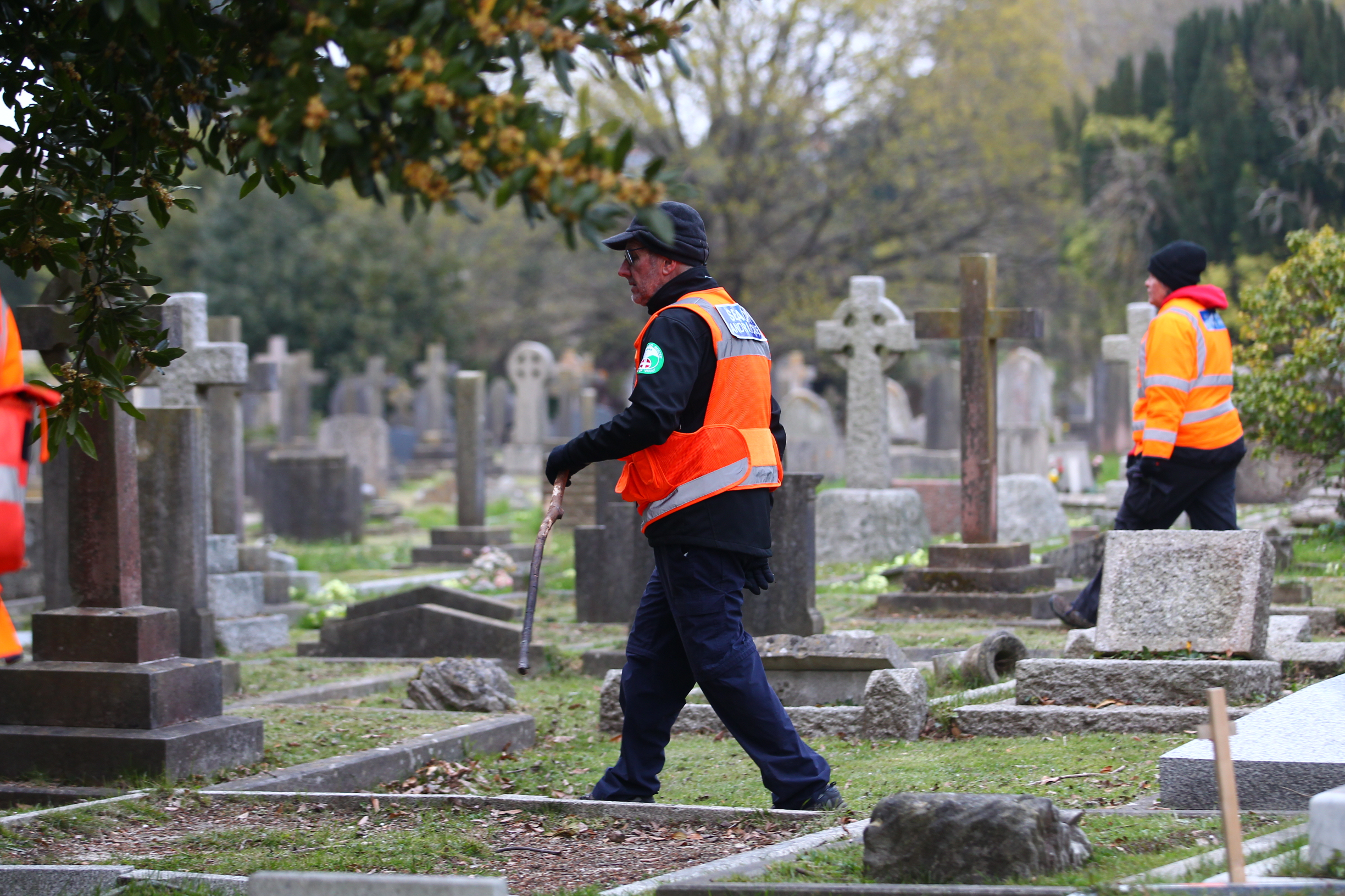 SEARCH TEAMS DEPLOYED IN RYDE TO LOCATE MISSING JOYCE MARYON