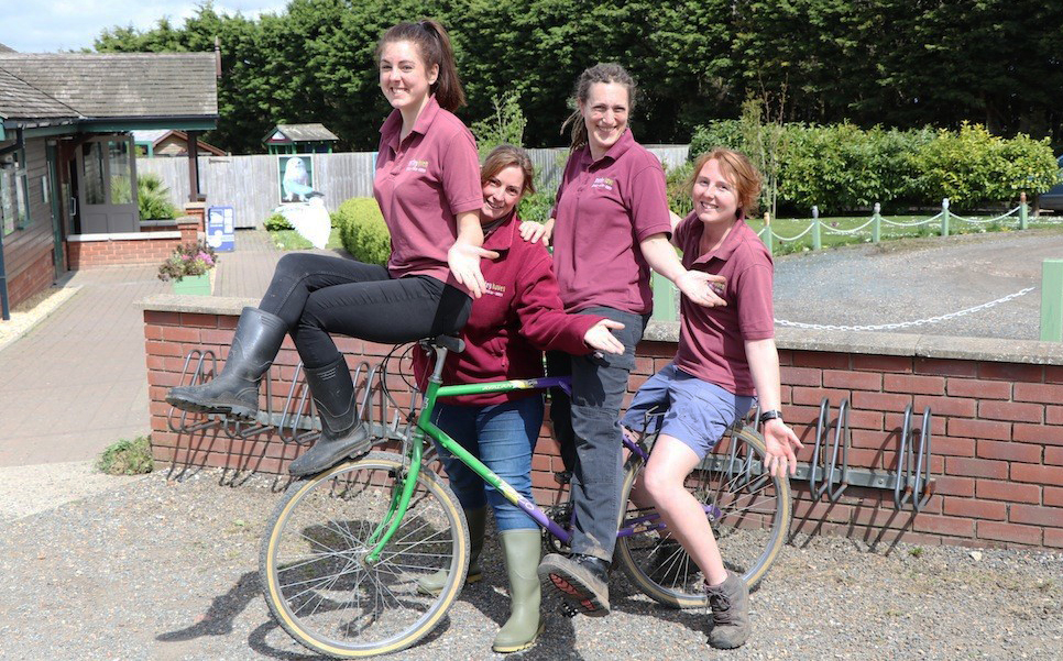 MONKEY HAVEN CELEBRATE GOLD STAR FOR BEING GREEN