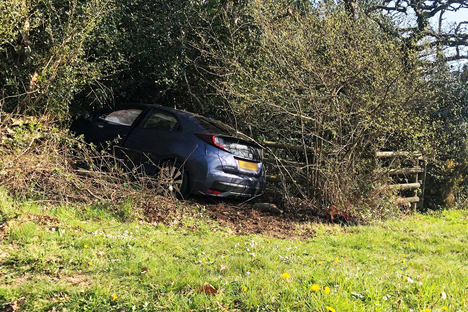 VEHICLE CRASHES INTO WOODLAND ON BRIDDLESFORD ROAD