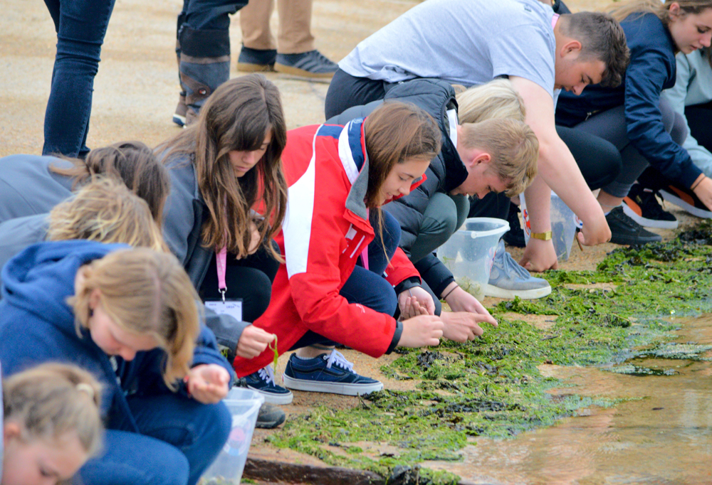 OCEAN HEALTH AND SUSTAINABILITY TOP OF THE AGENDA FOR COWES-BASED UKSA