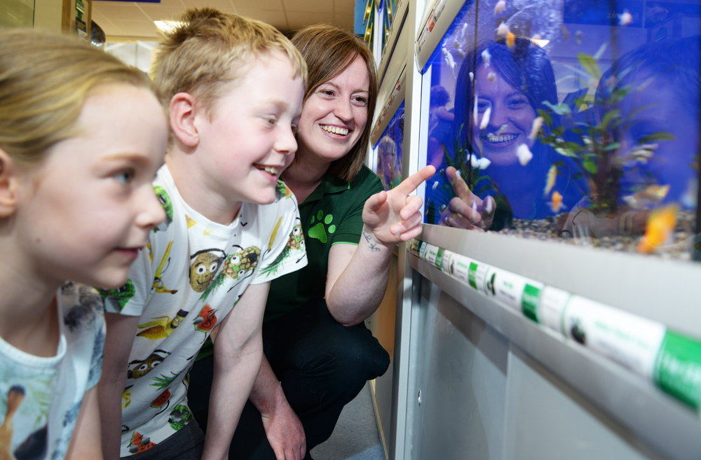 PETS AT HOME TO HOST FREE ‘FANTASTIC FISH’ WORKSHOPS THIS MAY HALF TERM