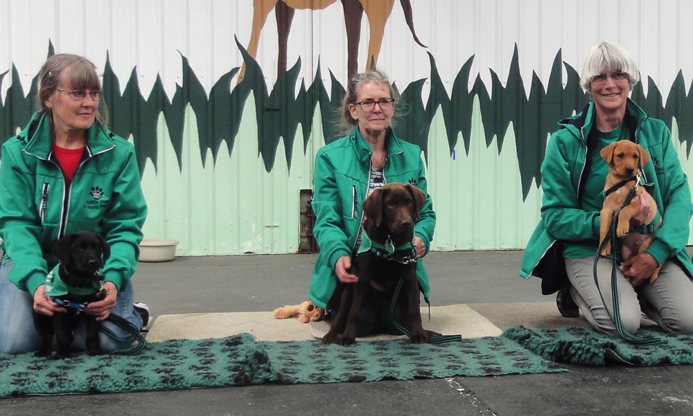 3 NEW ABILITY DOG RECRUITS WELCOMED AT PUPPY TRAINING SCHOOL