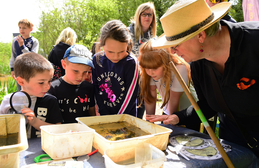 NATURE AND ART COMBINE AT NEW CARNIVAL COMPANY’S ALL ALONG THE RIVERBANK