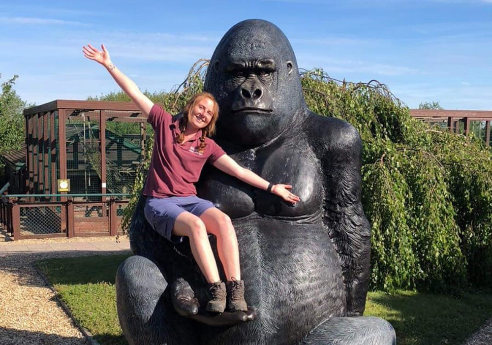 GIANT GORILLA ARRIVES AT MONKEY HAVEN