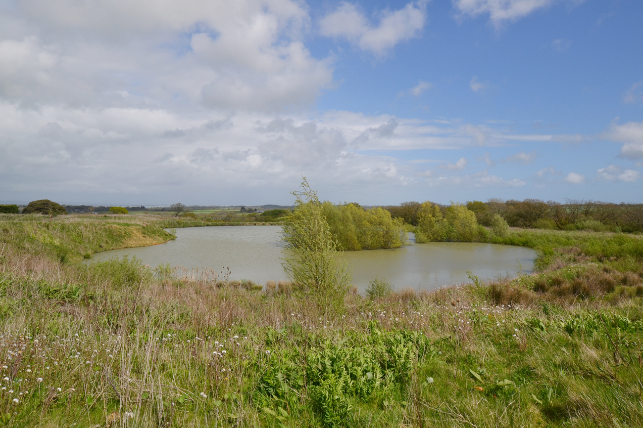 ISLANDERS ANGLING FOR A BARGAIN AS LOCAL PROPERTY GOES UNDER THE HAMMER