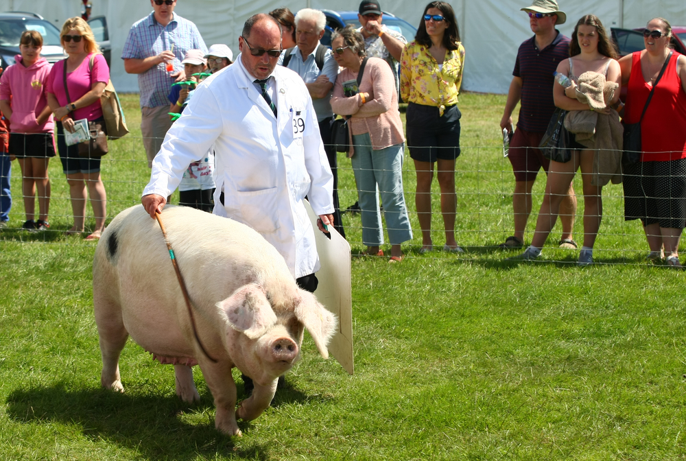 COUNTRY LIVING CELEBRATED AT ROYAL ISLE OF WIGHT COUNTY SHOW