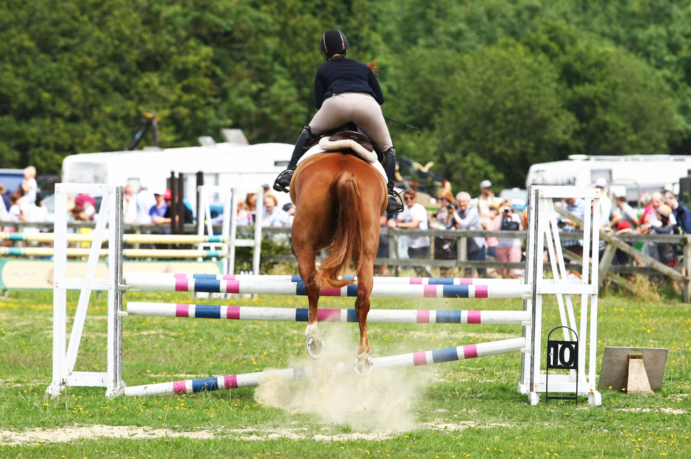 COUNTRY LIVING CELEBRATED AT ROYAL ISLE OF WIGHT COUNTY SHOW