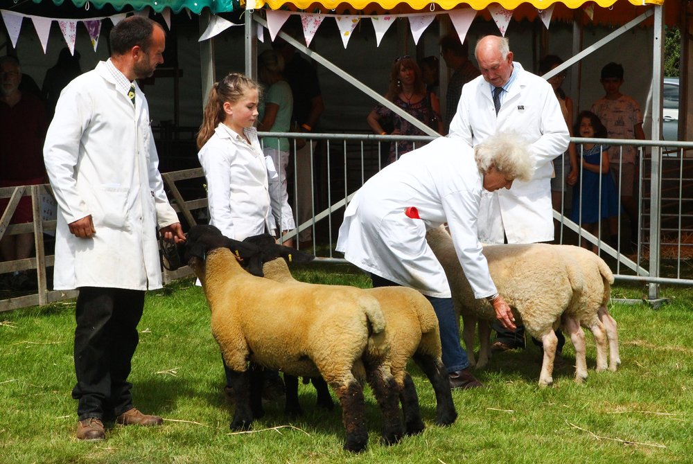 COUNTRY LIVING CELEBRATED AT ROYAL ISLE OF WIGHT COUNTY SHOW