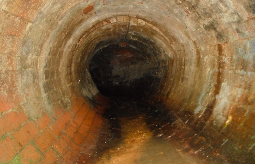 HI-TECH FIX FOR SHANKLIN STRUCTURE