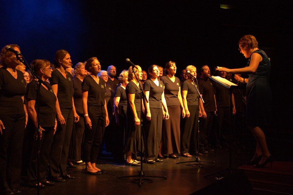MEDINA COMMUNITY CHOIR PRESENTS GOSPEL GOLD