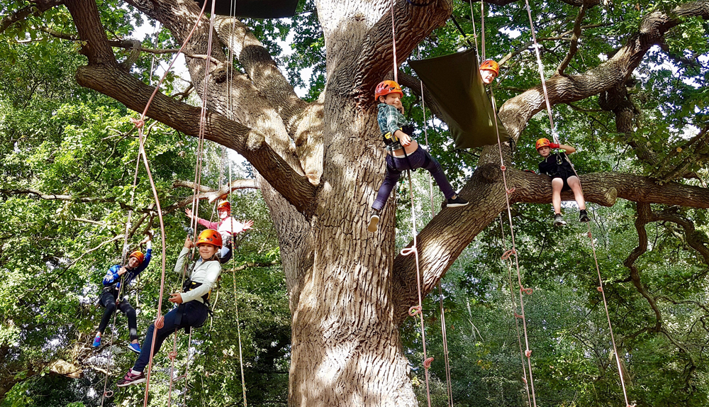 GOODLEAF TREE CLIMBING CHOSEN AS ONE OF THE UK’S TOP ‘SMALL BIZ 100’