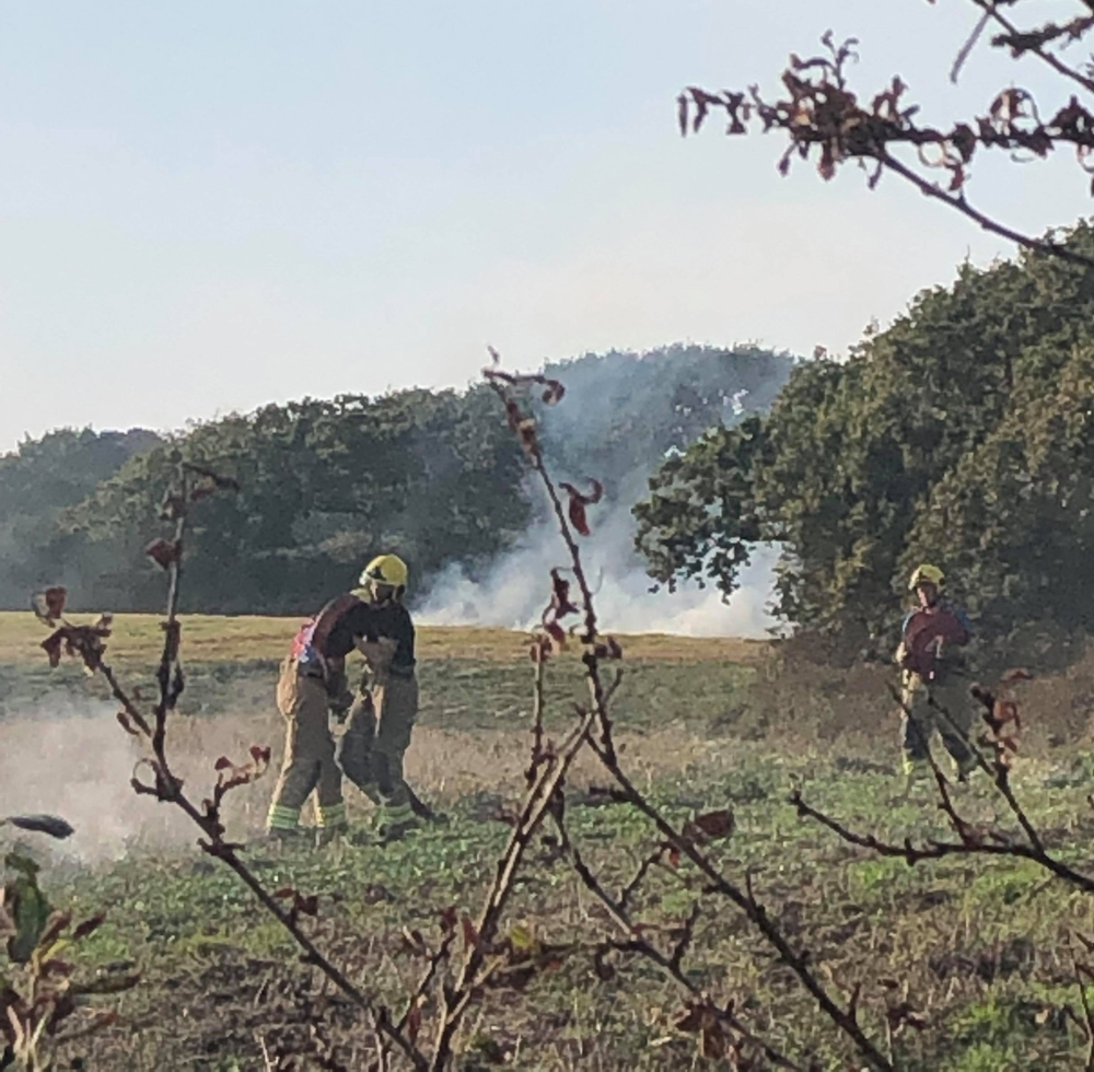 FIELD FIRE IN FRESHWATER