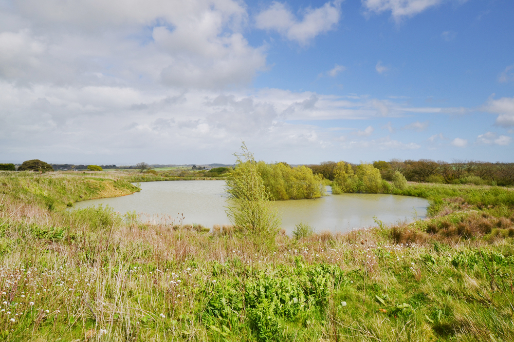 ISLE OF WIGHT PROPERTY GOING TO AUCTION IN SEPTEMBER