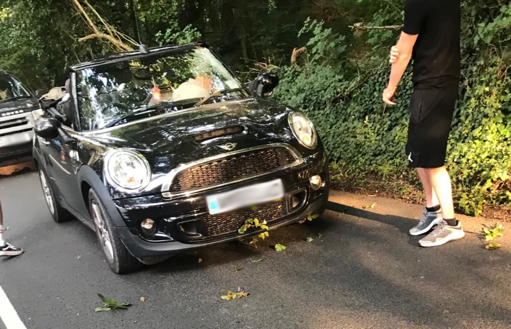TREE FALLS ON CAR AND BLOCKS MIDDLE ROAD NEAR CALBOURNE