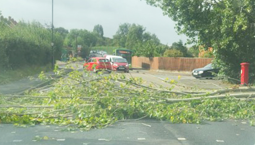 FALLEN TREE BLOCKS MAIN NEWPORT TO COWES ROAD