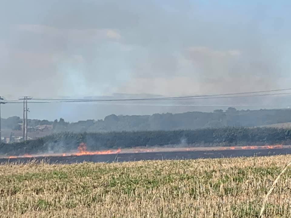 FIELD FIRE BREAKS OUT IN APSE HEATH