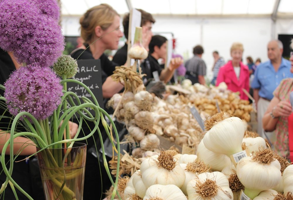 ISLE OF WIGHT’S GARLIC HOT SAUCE PLEASES PALATES ACROSS EUROPE
