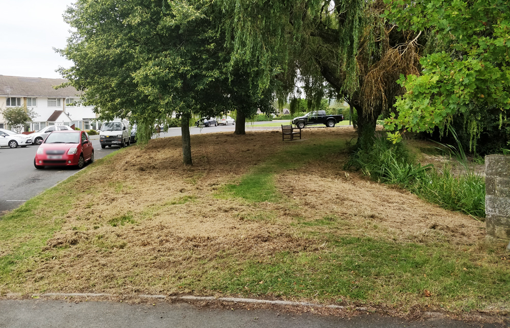 NEWPORT GREEN SPACE LOOKING ‘MUCH IMPROVED’ SAYS COUNCILLOR