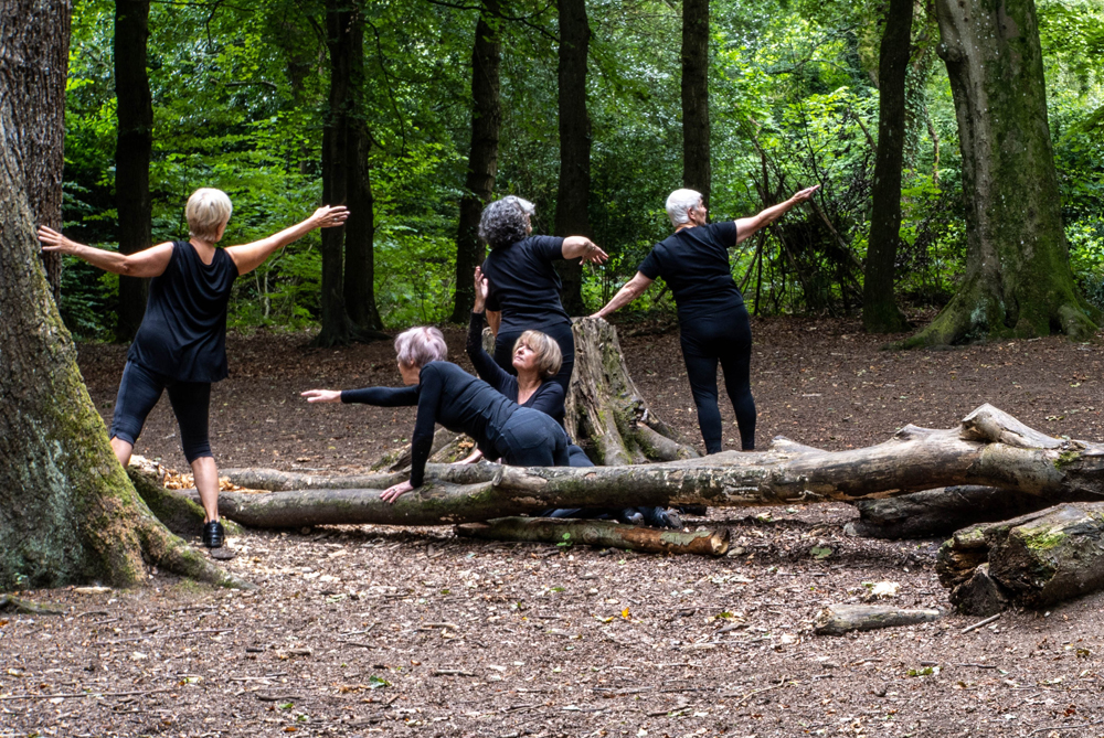 SAMPHIRE TAKE DANCING INTO THE WOODS