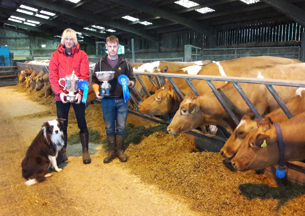 BRIDDLESFORD HERD TRIUMPHANT AT ENGLISH GUERNSEY CATTLE SOCIETY AGM