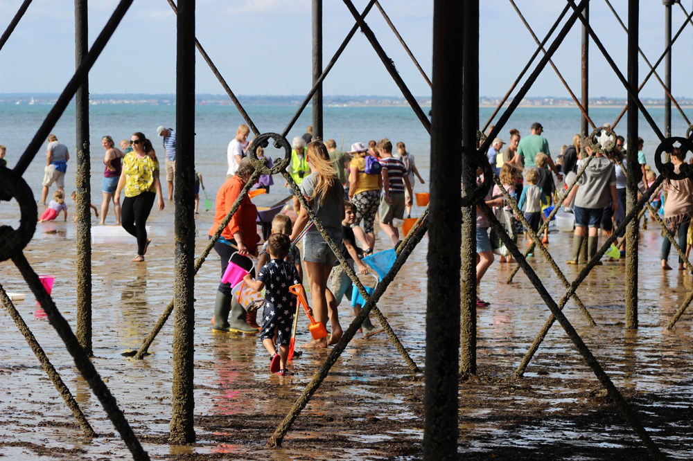 600 PEOPLE UNCOVER COASTAL WILDLIFE DURING UNDER THE PIER 2019