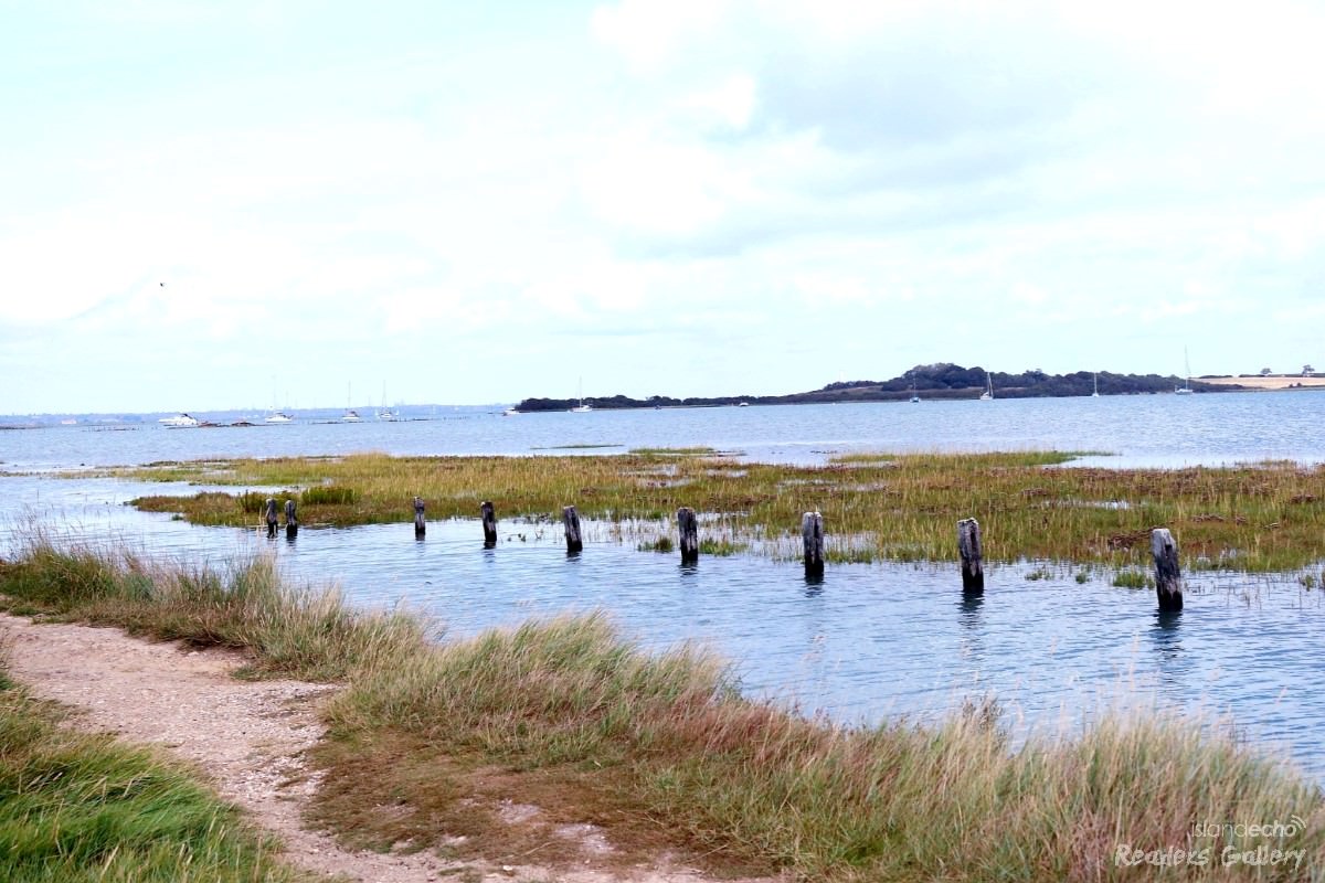 View over Salt Marsh, Newtwon nature Reserve - Karen Tyler