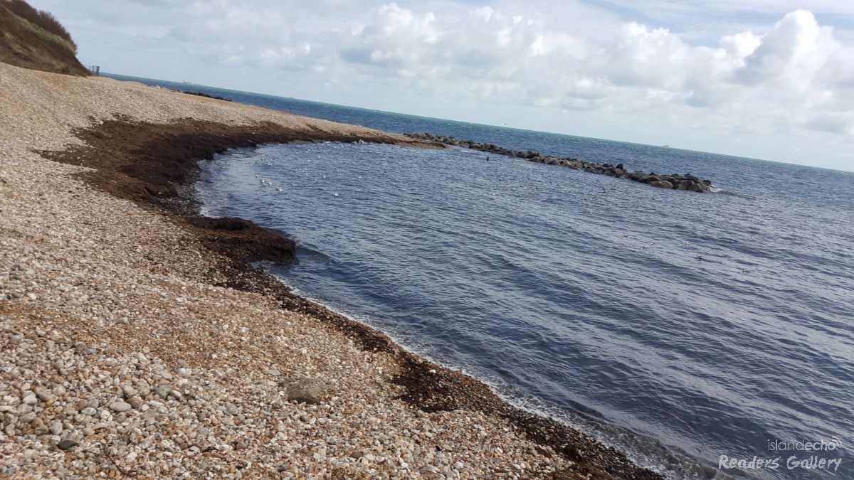 Wheelers Bay Ventnor - Cameron Cooke