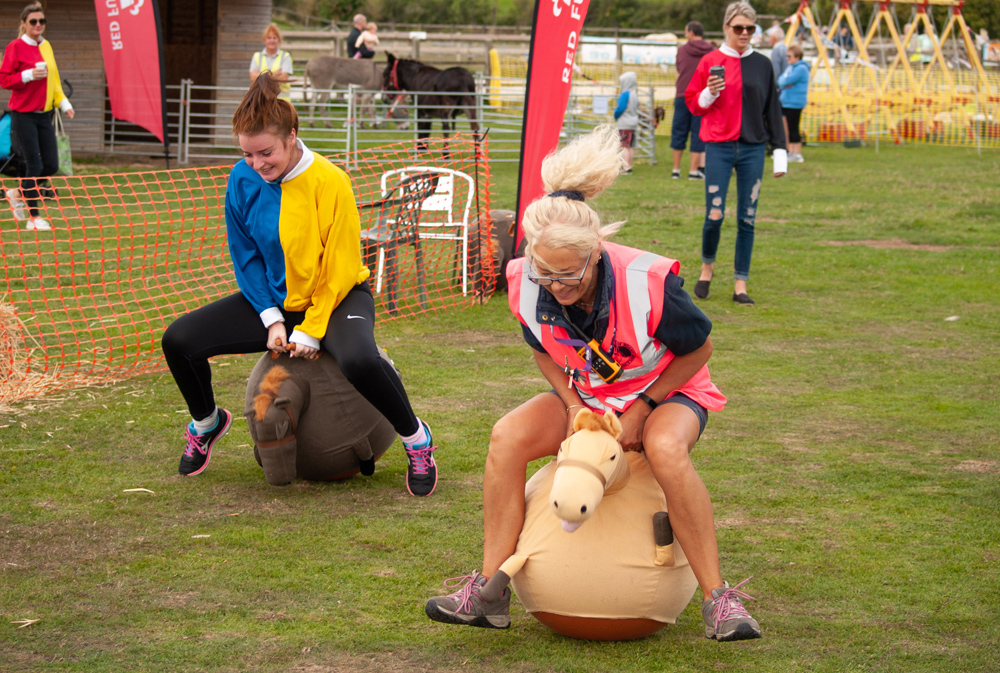 A DAY AT THE RACES RETURNS TO THE ISLE OF WIGHT DONKEY SANCTUARY