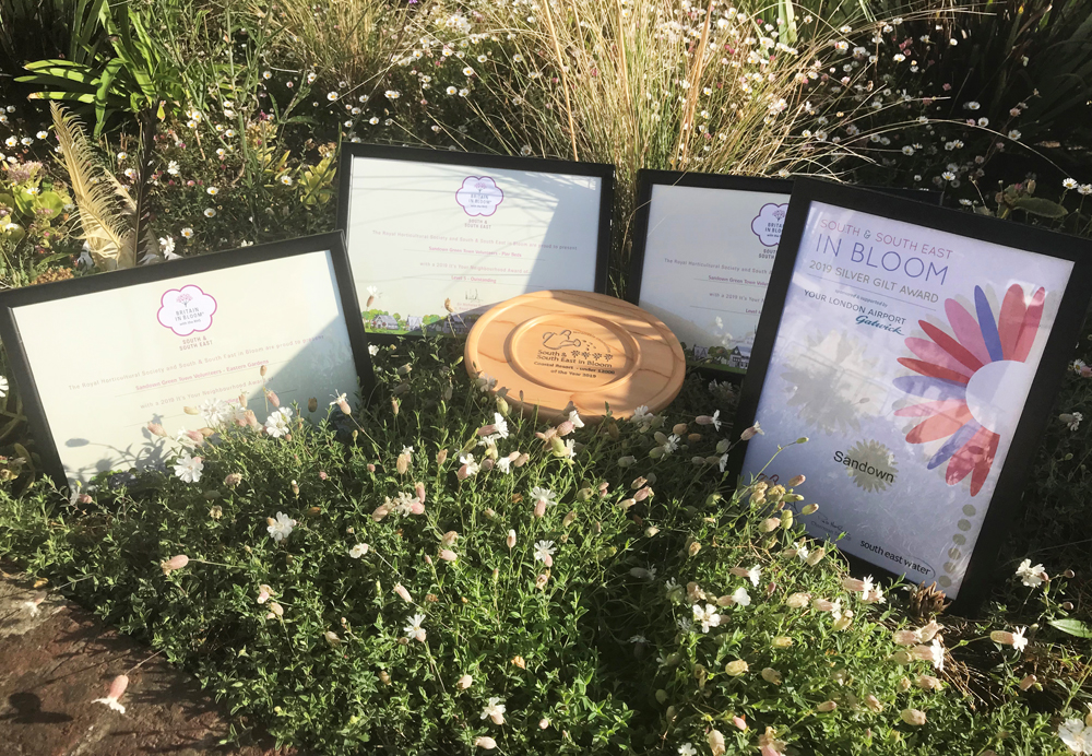 SANDOWN IS BLOOMING MARVELLOUS THANKS TO GREEN FINGERED EFFORTS