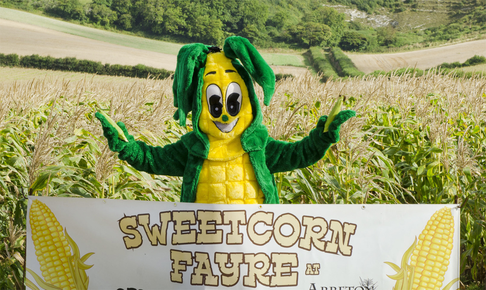 SWEETCORN FAYRE CANCELLED BUT BEER FESTIVAL WILL GO AHEAD