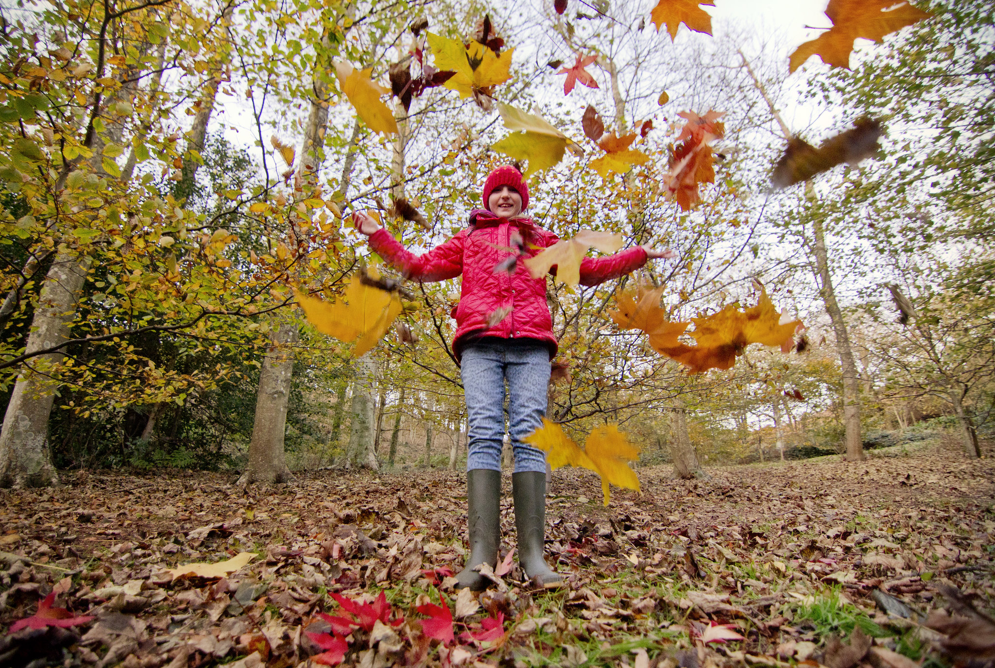ISLE OF WIGHT NAMED BEST DESTINATION FOR AUTUMN