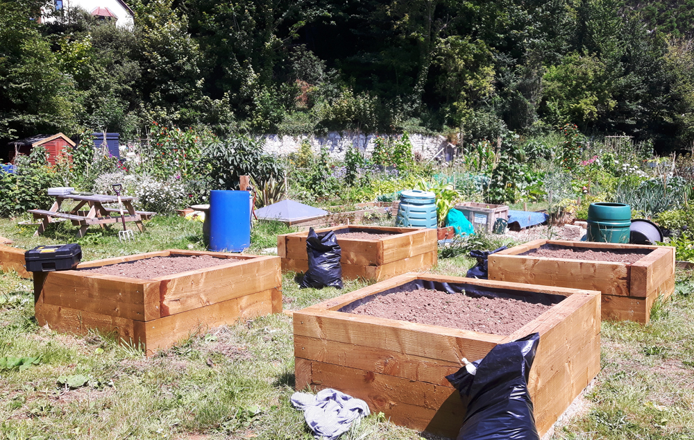 ALLOTMENT PROJECT BRINGS YOUNGSTERS CLOSER TO NATURE