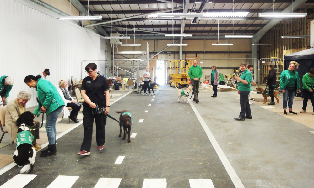 BUILDING WORK BEGINS BUT TRAINING STILL GOES ON AT ABILITY DOGS 4 YOUNG PEOPLE