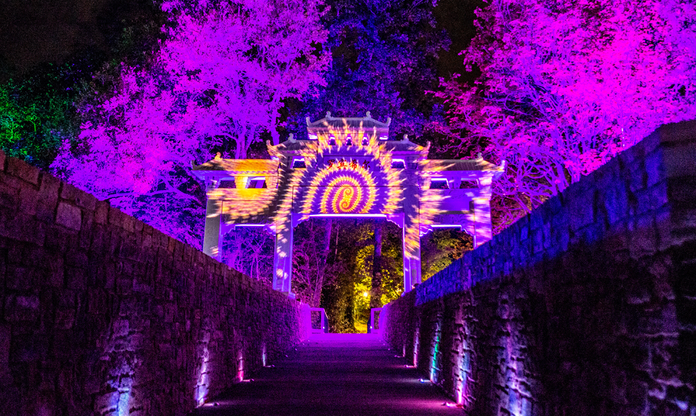 FINALISTS ANNOUNCED FOR PRESTIGIOUS 2019/20 BEAUTIFUL SOUTH AWARDS