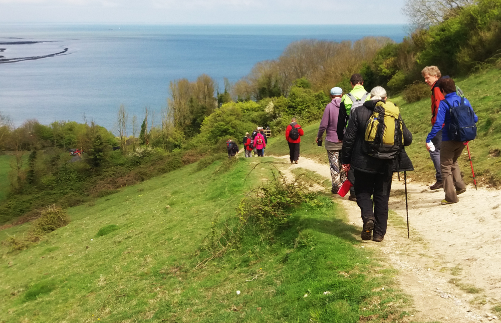 CALL FOR ISLE OF WIGHT WALKING FESTIVAL LEADERS