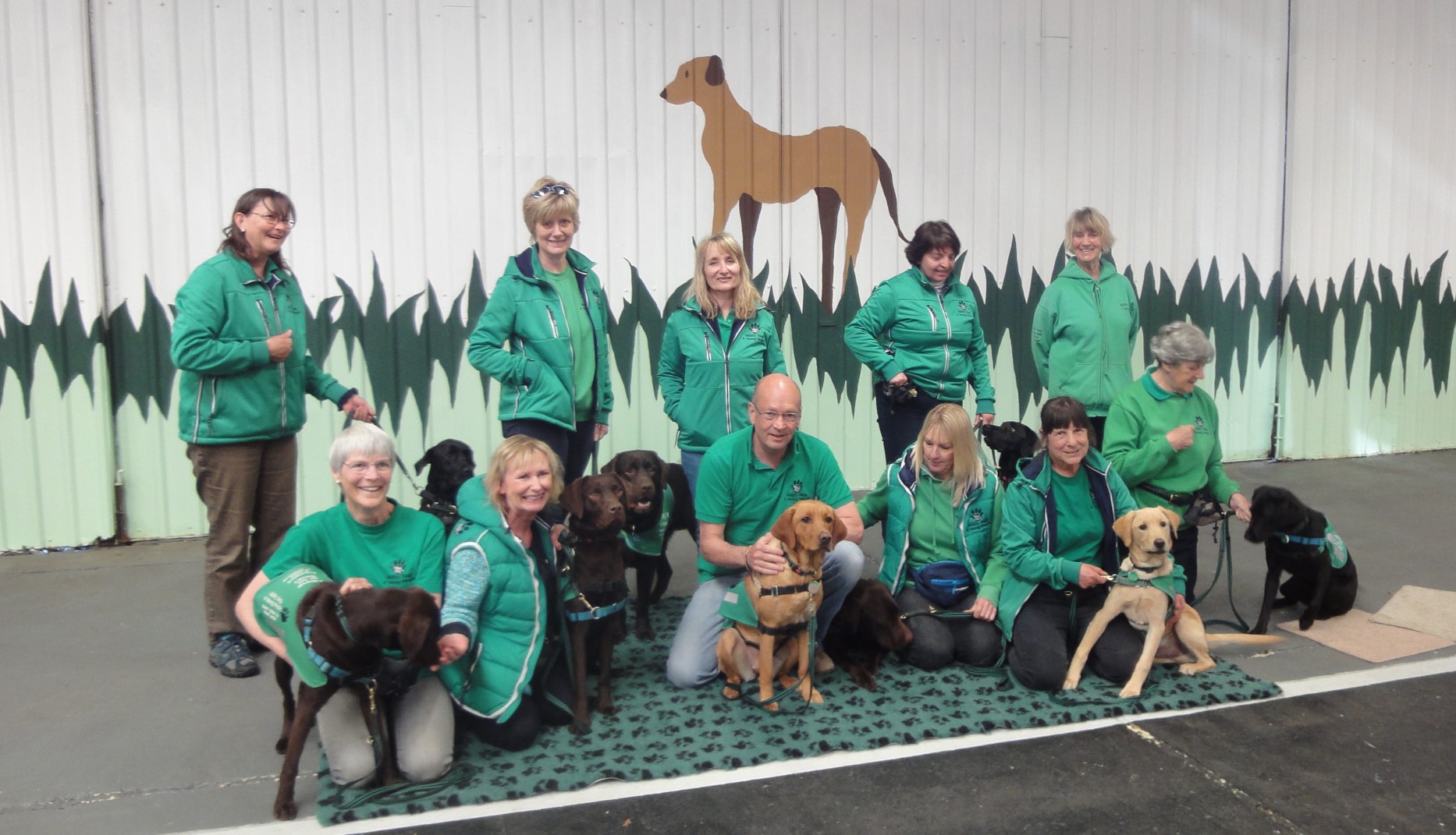 ABILITY DOGS 4 YOUNG PEOPLE DESPERATELY SEEKING NEW VOLUNTEERS