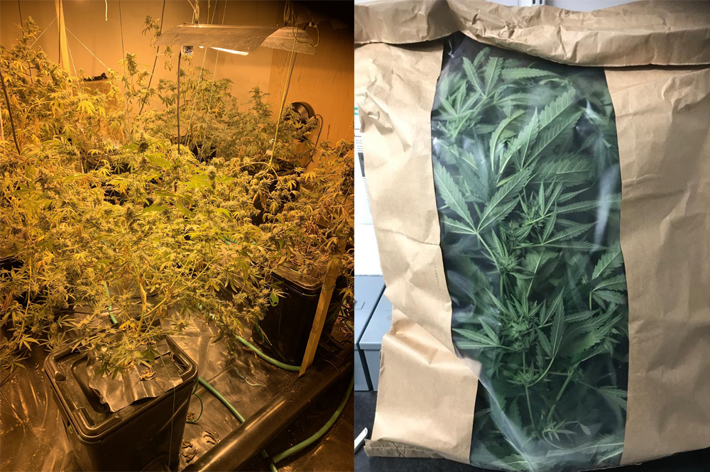CLASS A AND CLASS B DRUGS SEIZED AFTER WARRANTS EXECUTED