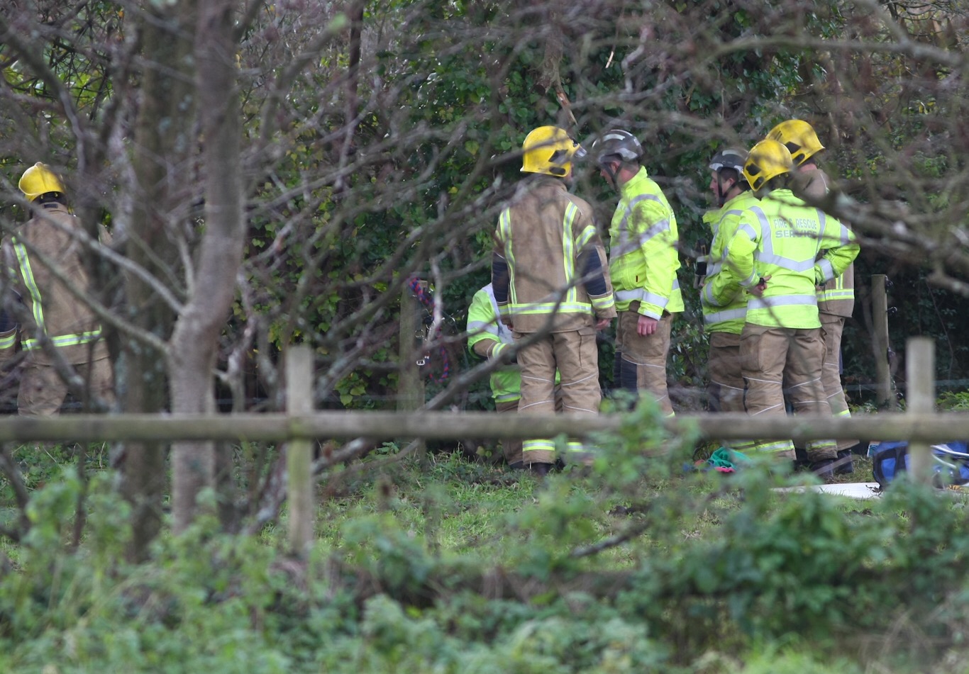 FIREFIGHTERS RESCUE HORSE STUCK IN RIVER