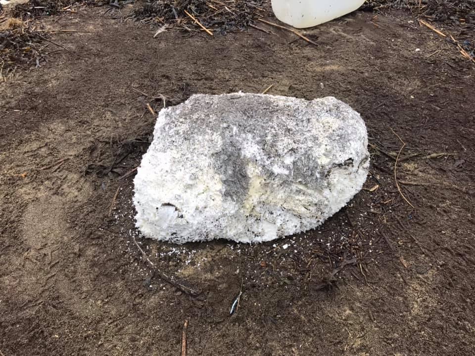 PALM OIL FOUND ON THE BEACH AT SANDOWN