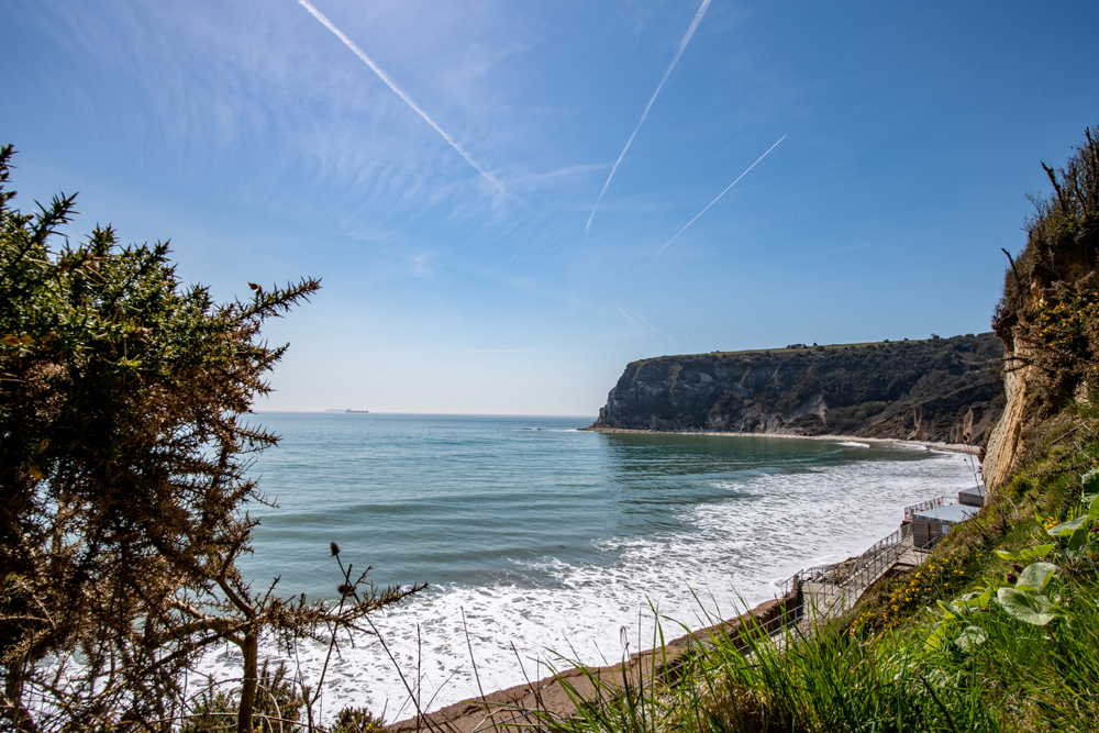 IT’S A BIT OF ALL WIGHT! HOLIDAY MAKERS GO CRAZY FOR THE ISLAND THANKS TO SHANE RICHIE