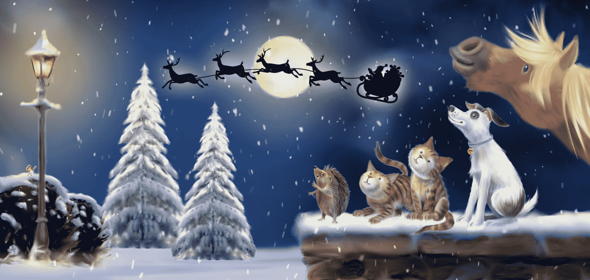 RSPCA LAUNCH FESTIVE APPEAL AS ITS REVEALED 92 ANIMALS RESCUED DURING CHRISTMAS 2018