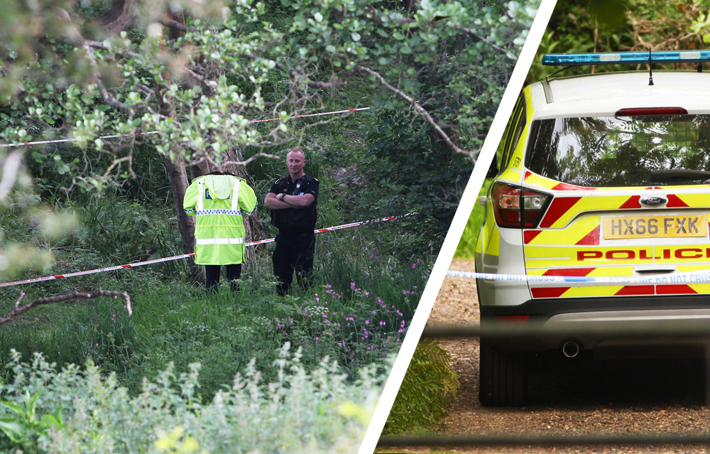 SANDOWN MAN ACCUSED OF MURDER ‘USED CHAINSAW BEFORE STRANGLING GERRY WHITE TO DEATH’