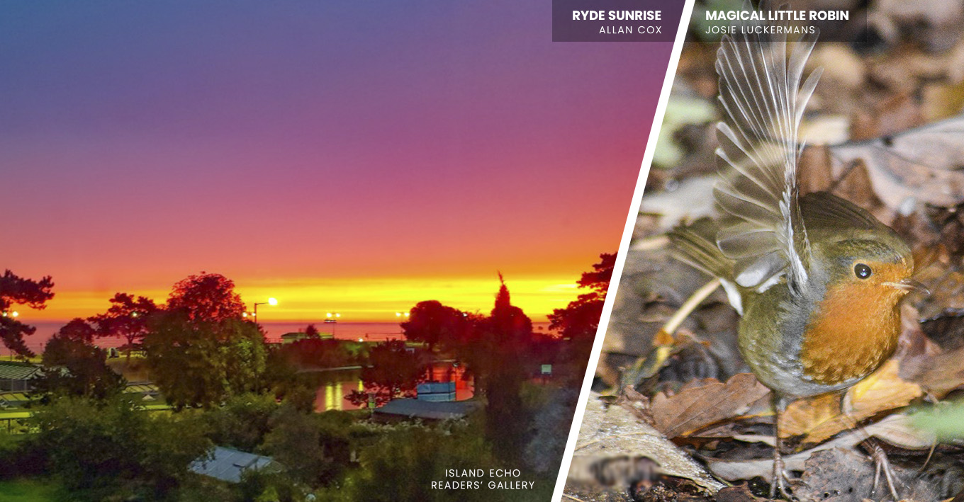 READERS’ GALLERY: 1ST NOVEMBER 2019