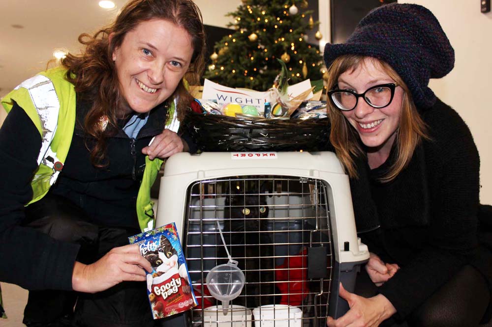 LUCY THE CAT HOME FOR CHRISTMAS AFTER SCOTTISH ADVENTURE
