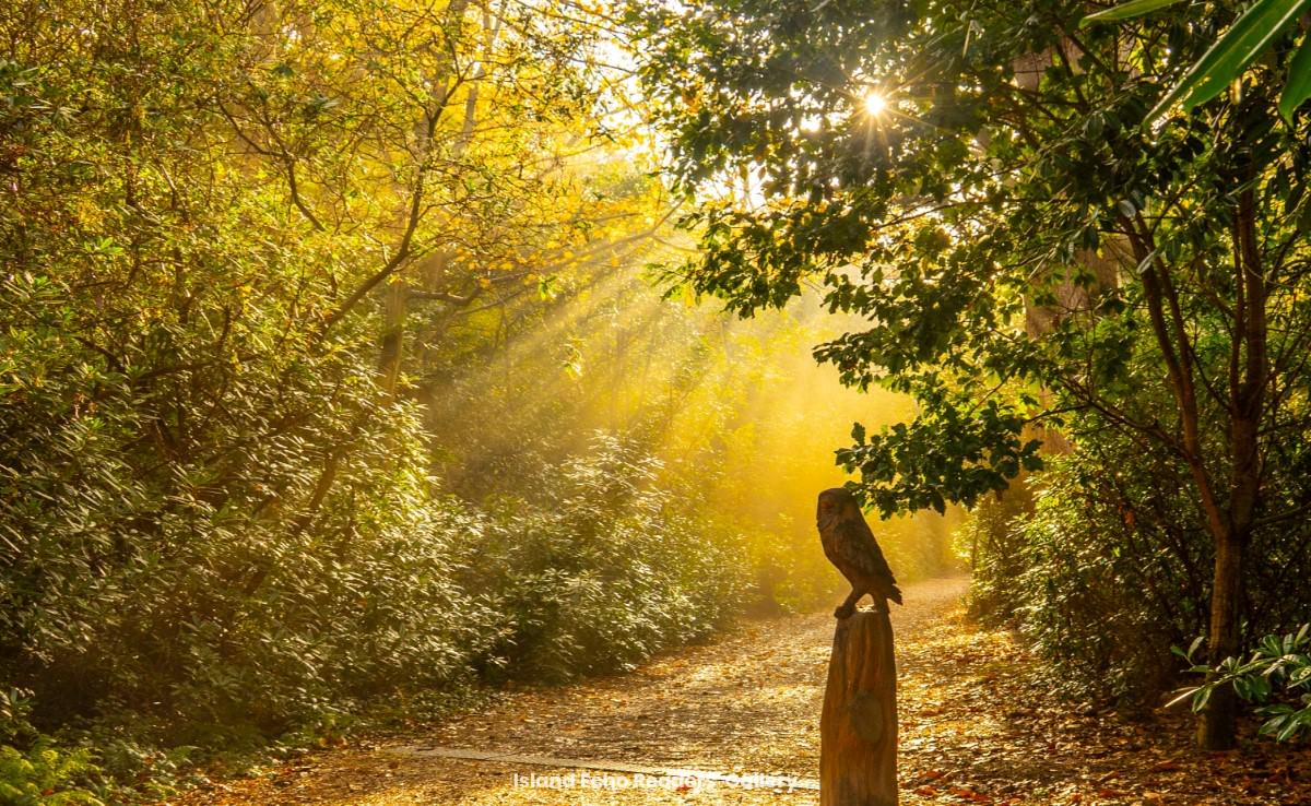 READERS’ GALLERY: 6TH DECEMBER 2019