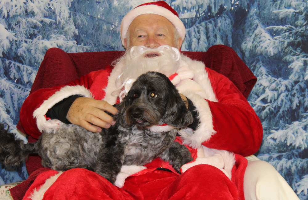 £400 RAISED AS CANINES GET TO MEET SANTA PAWS AT NORTHWOOD CHRISTMAS FAIR