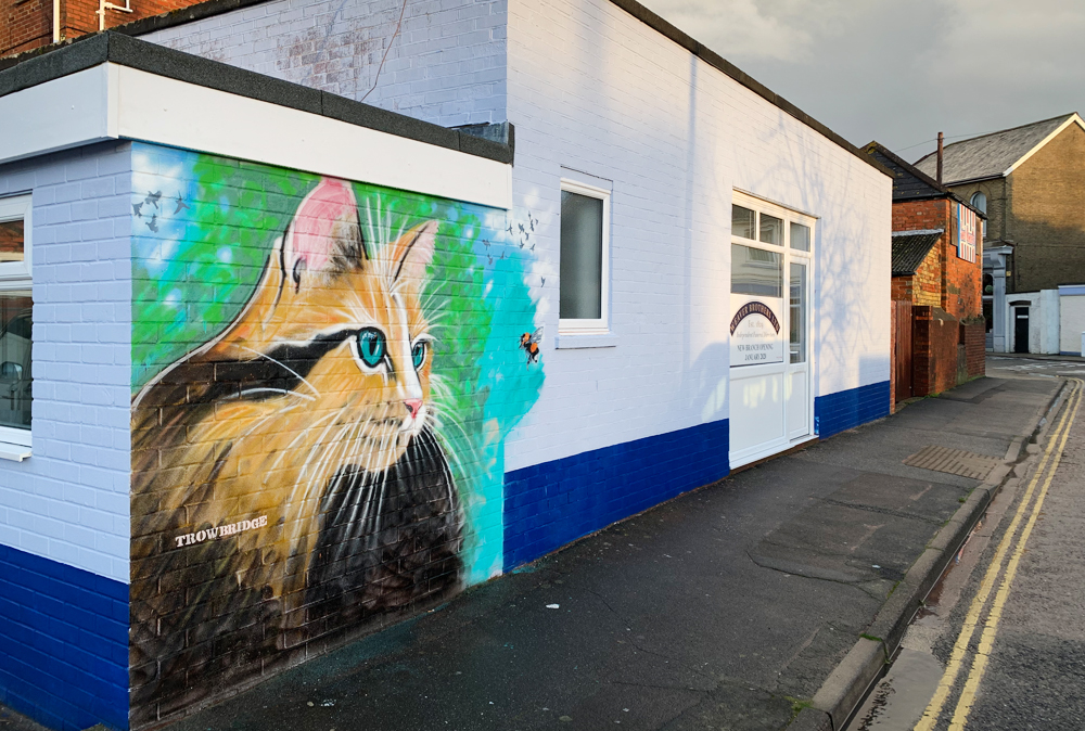 NEW CAT MURAL SPARKS INTEREST IN EAST COWES WITH COMPETITION NOW LAUNCHED